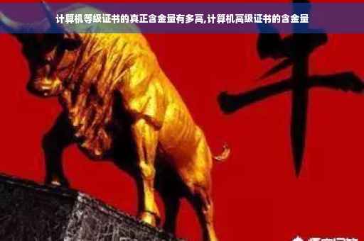 计算机等级证书的真正含金量有多高,计算机高级证书的含金量
