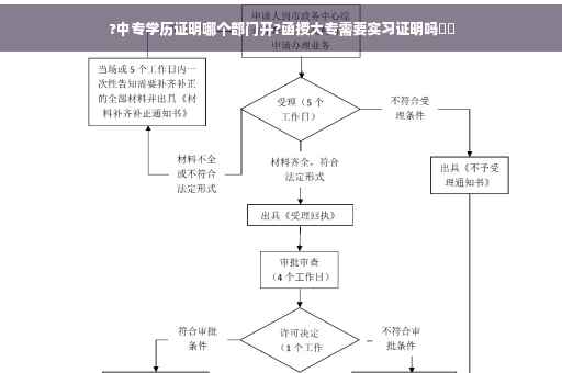 ?中专学历证明哪个部门开?函授大专需要实习证明吗⚡️