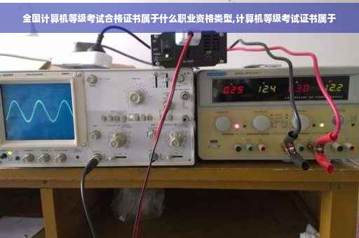 全国计算机等级考试合格证书属于什么职业资格类型,计算机等级考试证书属于