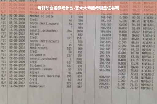 专科毕业证都考什么-艺术大专能考哪些证书呢