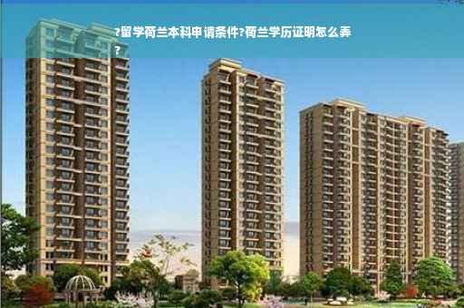 ?留学荷兰本科申请条件?荷兰学历证明怎么弄
?