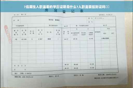 ?应届生入职需要的学历证明是什么?入职需要报到证吗⚡️