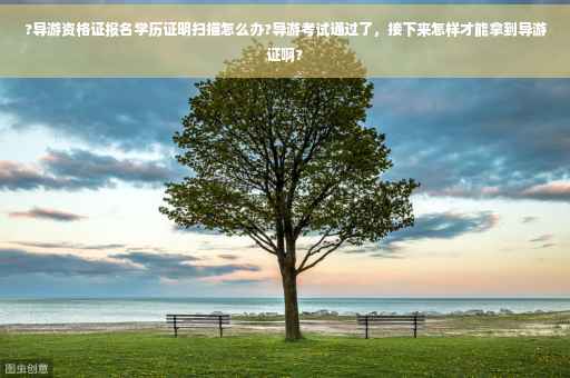 ?导游资格证报名学历证明扫描怎么办?导游考试通过了，接下来怎样才能拿到导游证啊?