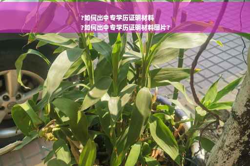 ?如何出中专学历证明材料
?如何出中专学历证明材料图片?