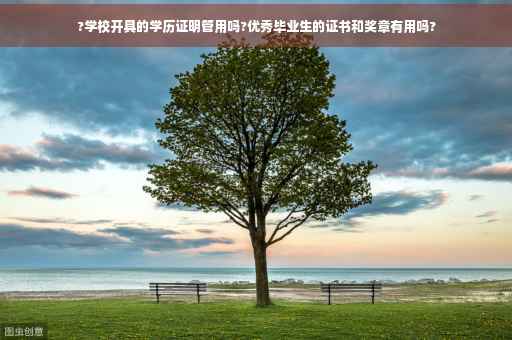 ?学校开具的学历证明管用吗?优秀毕业生的证书和奖章有用吗?