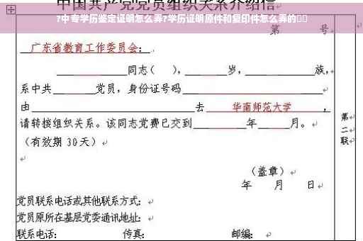 ?中专学历鉴定证明怎么弄?学历证明原件和复印件怎么弄的⚡️