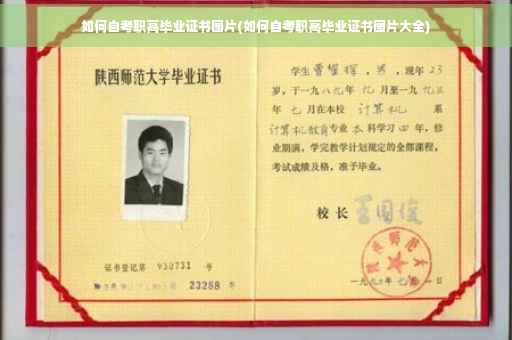 如何自考职高毕业证书图片(如何自考职高毕业证书图片大全)