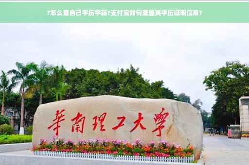 ?怎么查自己学历学籍?支付宝如何查最高学历证明信息?