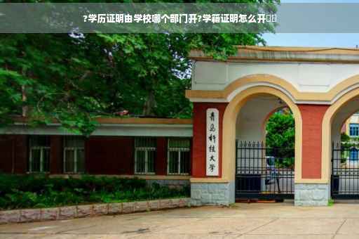 ?学历证明由学校哪个部门开?学籍证明怎么开⚡️