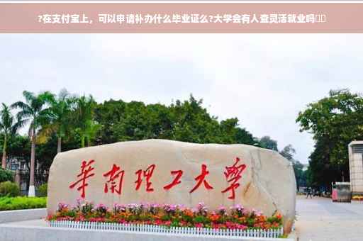 ?在支付宝上，可以申请补办什么毕业证么?大学会有人查灵活就业吗⚡️