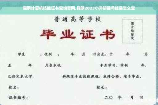 昆明计算机技能证书查询官网,昆明2023小升初摇号结果怎么查