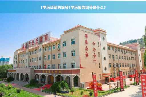 ?学历证明的编号?学历报告编号是什么?
