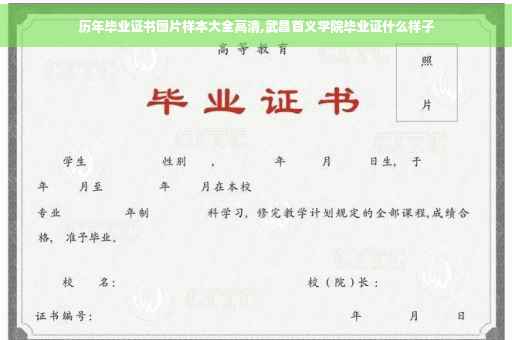 历年毕业证书图片样本大全高清,武昌首义学院毕业证什么样子
