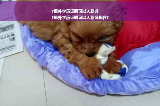 ?国外学历证明可以入职吗
?国外学历证明可以入职吗现在?