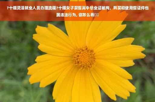 ?十堰灵活就业人员办理流程?十堰女子买假高中毕业证被拘，购买和使用假证件也属违法行为, 你怎么看⚡️