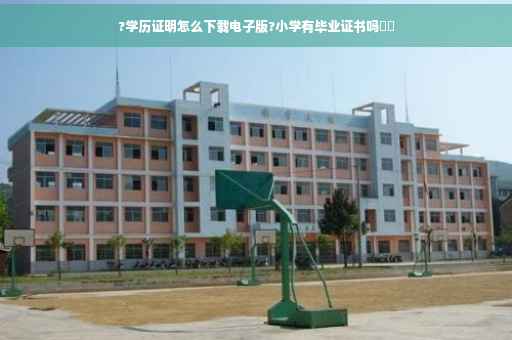 ?学历证明怎么下载电子版?小学有毕业证书吗⚡️