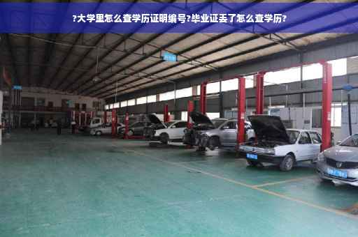 ?大学里怎么查学历证明编号?毕业证丢了怎么查学历?