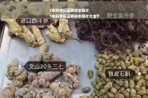 ?本科学历证明样本图片
?本科学历证明样本图片大全?