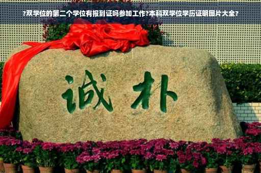 ?双学位的第二个学位有报到证吗参加工作?本科双学位学历证明图片大全?
