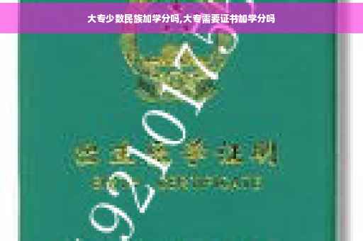 大专少数民族加学分吗,大专需要证书加学分吗