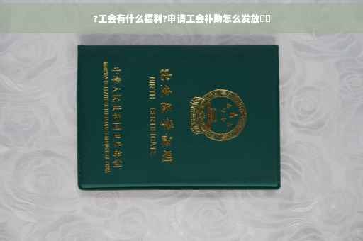 ?工会有什么福利?申请工会补助怎么发放⚡️