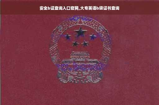 安全b证查询入口官网,大专英语b级证书查询
