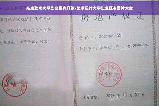 东京艺术大学毕业证有几张-艺术设计大学毕业证书图片大全