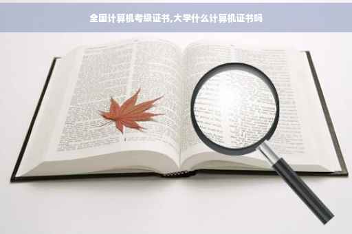 全国计算机考级证书,大学什么计算机证书吗