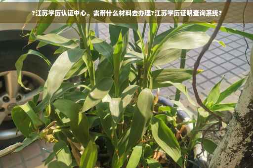 ?江苏学历认证中心。需带什么材料去办理?江苏学历证明查询系统?