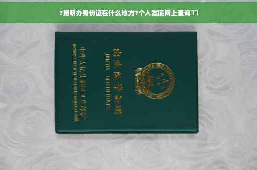 ?昆明办身份证在什么地方?个人案底网上查询⚡️