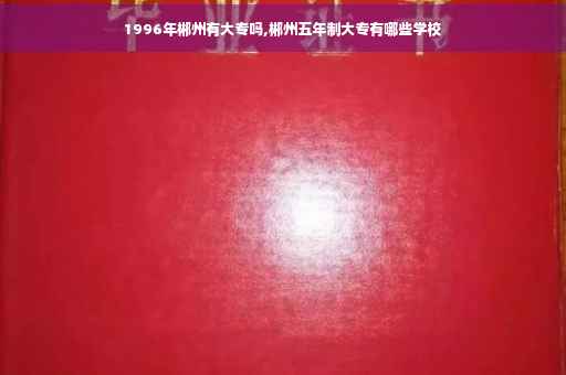 1996年郴州有大专吗,郴州五年制大专有哪些学校