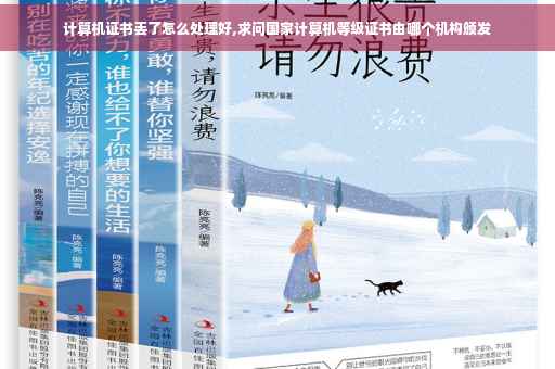 计算机证书丢了怎么处理好,求问国家计算机等级证书由哪个机构颁发
