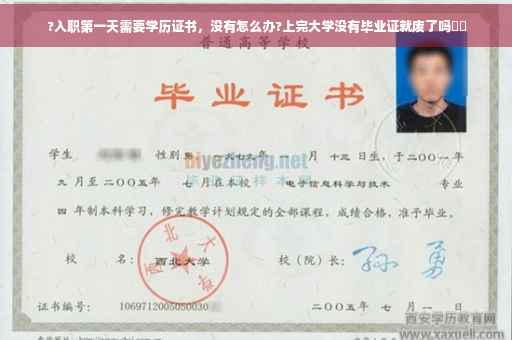 ?入职第一天需要学历证书，没有怎么办?上完大学没有毕业证就废了吗⚡️