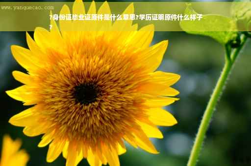 ?身份证毕业证原件是什么意思?学历证明原件什么样子
?