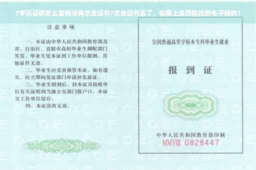?学历证明怎么查有没有毕业证书?毕业证书丢了，在网上是否能找到电子档的?
