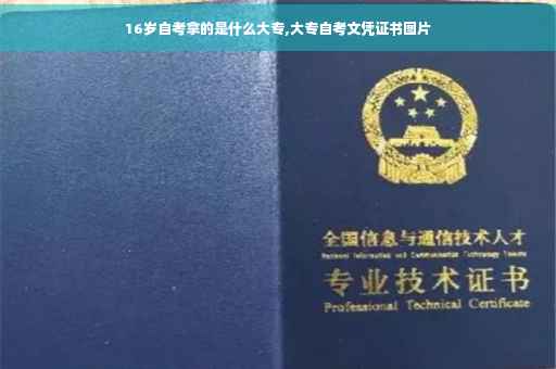 16岁自考拿的是什么大专,大专自考文凭证书图片