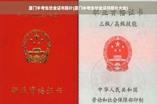 厦门中考生毕业证书图片(厦门中考生毕业证书图片大全)