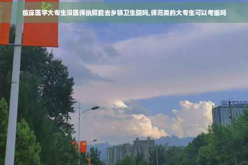 临床医学大专生没医师执照能去乡镇卫生院吗,师范类的大专生可以考编吗