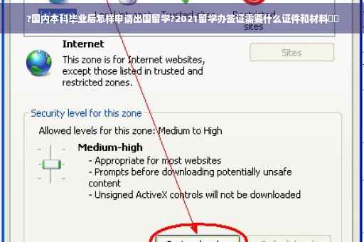 ?国内本科毕业后怎样申请出国留学?2021留学办签证需要什么证件和材料⚡️