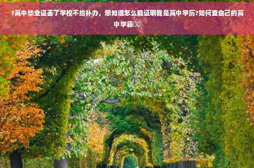 ?高中毕业证丢了学校不给补办，想知道怎么能证明我是高中学历?如何查自己的高中学籍⚡️