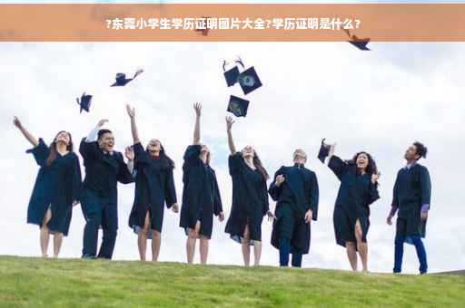?东莞小学生学历证明图片大全?学历证明是什么?