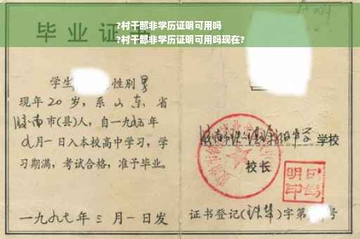 ?村干部非学历证明可用吗
?村干部非学历证明可用吗现在?