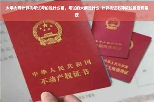大学大专计算机考试考的是什么证，考试的大纲是什么-计算机证书存放位置查询系统
