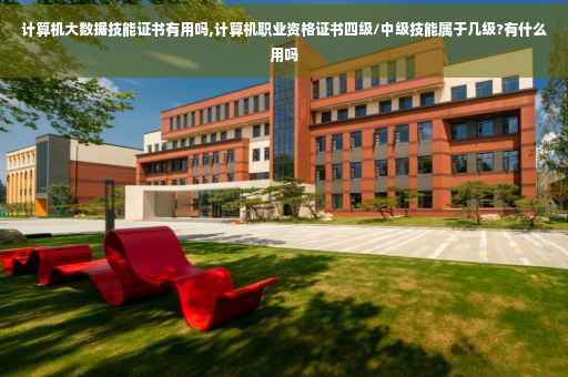 计算机大数据技能证书有用吗,计算机职业资格证书四级/中级技能属于几级?有什么用吗