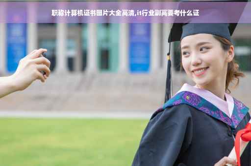职称计算机证书图片大全高清,it行业副高要考什么证