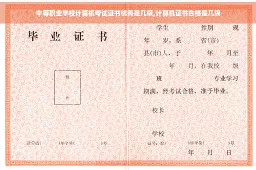 中等职业学校计算机考试证书优秀是几级,计算机证书合格是几级
