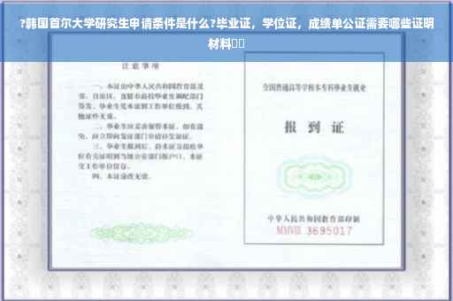 ?韩国首尔大学研究生申请条件是什么?毕业证，学位证，成绩单公证需要哪些证明材料⚡️