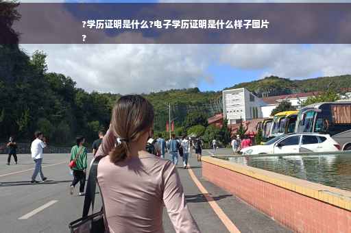 ?学历证明是什么?电子学历证明是什么样子图片
?