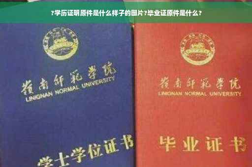 ?学历证明原件是什么样子的图片?毕业证原件是什么?