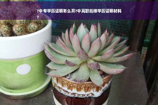 ?中专学历证明怎么开?中高职衔接学历证明材料
?